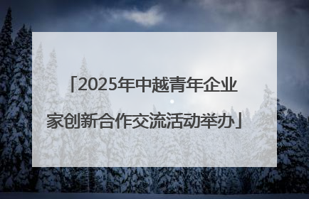 2025年中越青年企业家创新合作交流活动举办