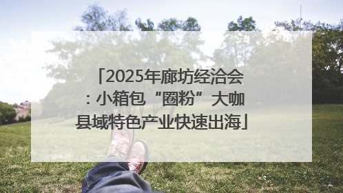 2025年廊坊经洽会：小箱包“圈粉”大咖 县域特色产业快速出海