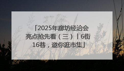 2025年廊坊经洽会亮点抢先看（三）丨6街16巷，邀你逛市集