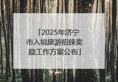 2025年济宁市入境旅游招徕奖励工作方案公布