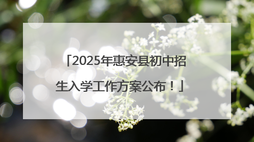 2025年惠安县初中招生入学工作方案公布！