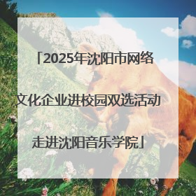 2025年沈阳市网络文化企业进校园双选活动走进沈阳音乐学院