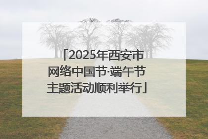 2025年西安市网络中国节·端午节主题活动顺利举行
