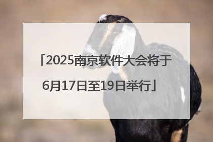 2025南京软件大会将于6月17日至19日举行
