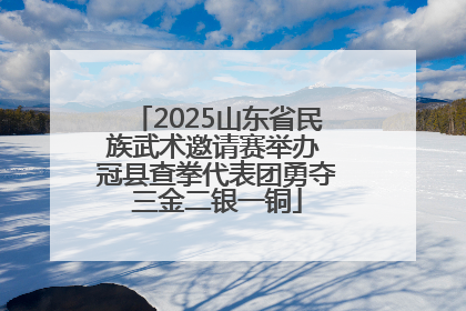 2025山东省民族武术邀请赛举办 冠县查拳代表团勇夺三金二银一铜
