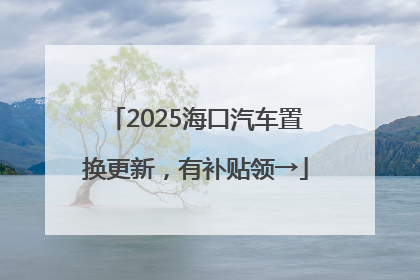 2025海口汽车置换更新，有补贴领→