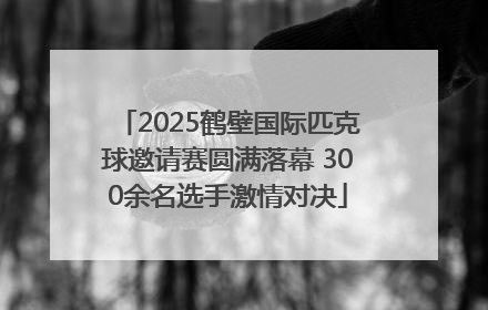 2025鹤壁国际匹克球邀请赛圆满落幕 300余名选手激情对决
