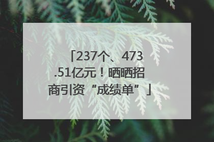 237个、473.51亿元！晒晒招商引资“成绩单”