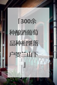 300余种酿酒葡萄品种相继落户贺兰山下