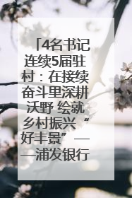 4名书记连续5届驻村：在接续奋斗里深耕沃野 绘就乡村振兴“好丰景”——浦发银行南京分行助力脱贫攻坚、帮促乡村振兴记事（二）