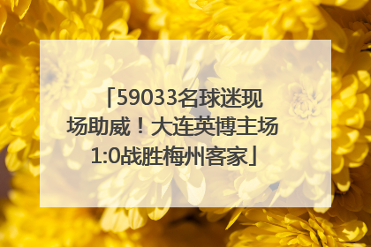 59033名球迷现场助威！大连英博主场1:0战胜梅州客家