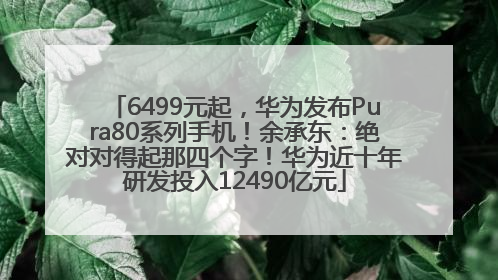 6499元起，华为发布Pura80系列手机！余承东：绝对对得起那四个字！华为近十年研发投入12490亿元
