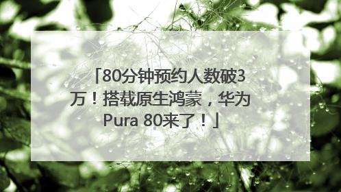 80分钟预约人数破3万！搭载原生鸿蒙，华为Pura 80来了！