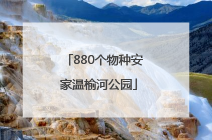 880个物种安家温榆河公园