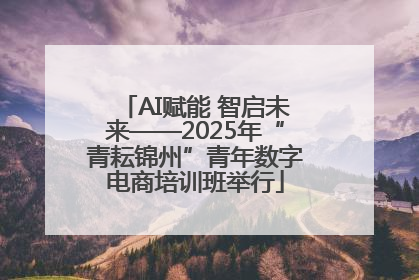 AI赋能 智启未来——2025年“青耘锦州”青年数字电商培训班举行