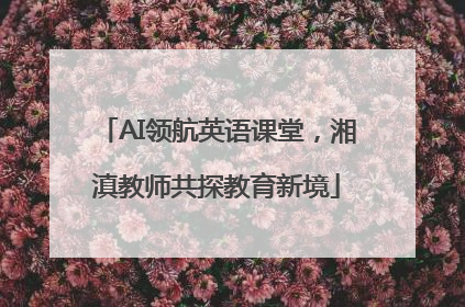 AI领航英语课堂，湘滇教师共探教育新境
