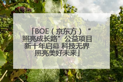 BOE（京东方）“照亮成长路”公益项目新十年启幕 科技无界照亮美好未来