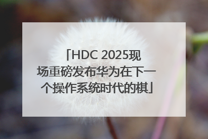 HDC 2025现场重磅发布华为在下一个操作系统时代的棋