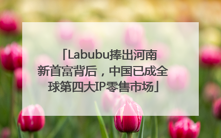 Labubu捧出河南新首富背后，中国已成全球第四大IP零售市场