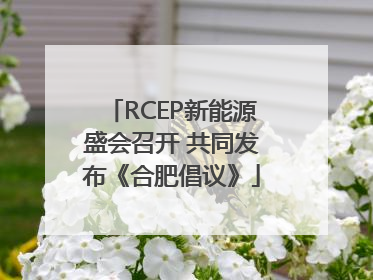RCEP新能源盛会召开 共同发布《合肥倡议》