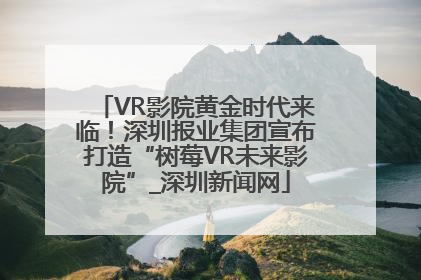 VR影院黄金时代来临！深圳报业集团宣布打造“树莓VR未来影院”_深圳新闻网